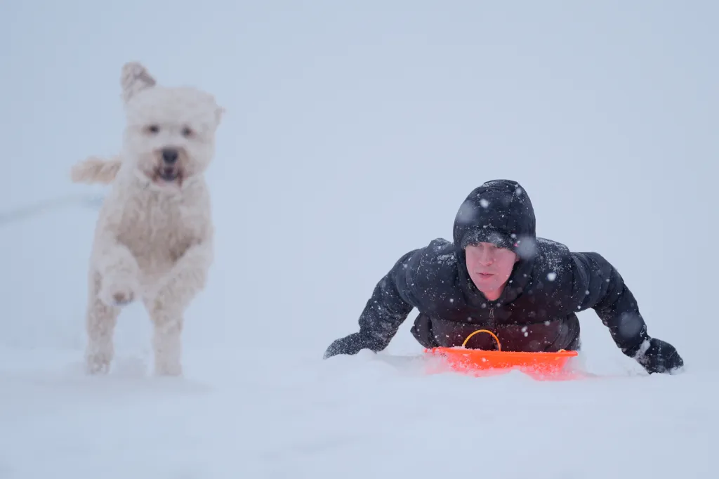 A person sleds with a dog down a snowy hill in Charlotte, North Carolina.