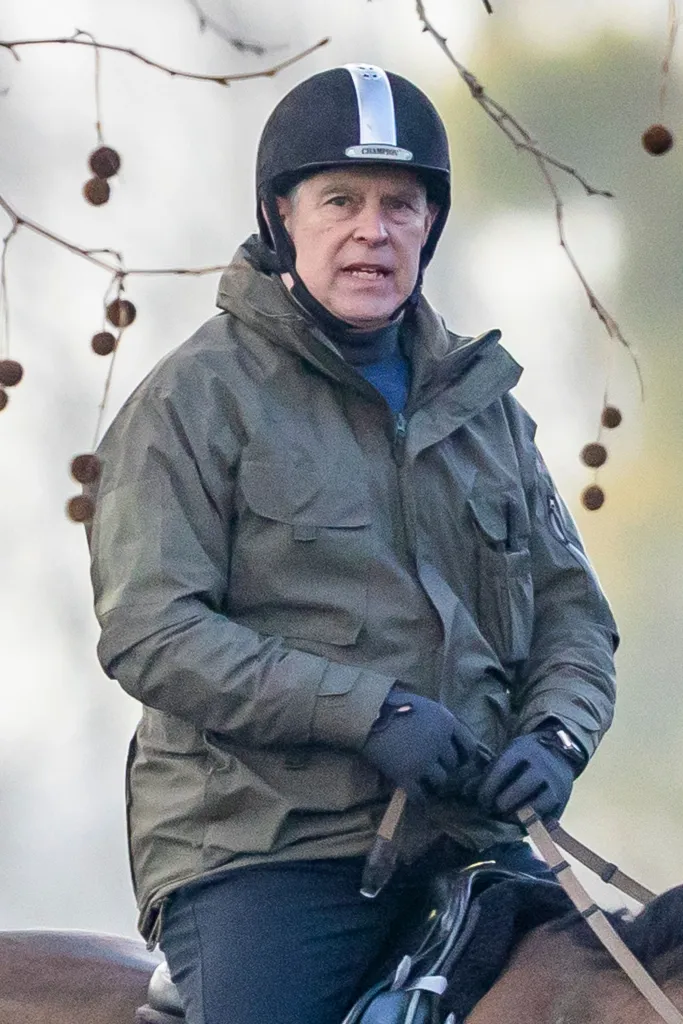 Mountbatten-Windsor, the second son of the late Queen Elizabeth, has always denied any wrongdoing in relation to Epstein.