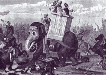 Archaeologists Found Proof of 2,200-Year-Old War Elephants in Spain