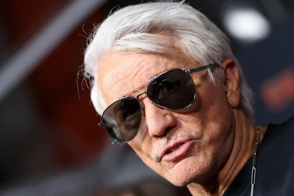 Baz Luhrmann wearing sunglasses and a mustache.