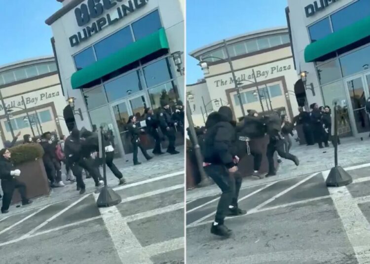 Multiple youths arrested during chaotic caught-on-camera NYC mall brawl