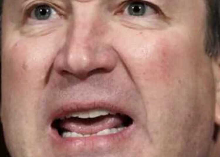 Epstein bonded with Brett Kavanaugh over rape allegations: ‘I’ve been through many’