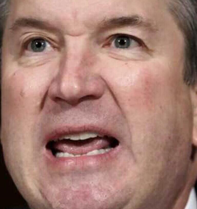 Epstein bonded with Brett Kavanaugh over rape allegations: ‘I’ve been through many’