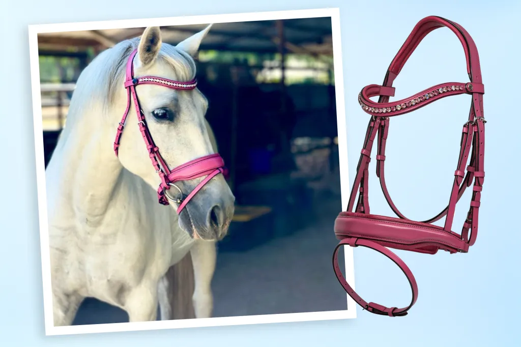 https://shophalterego.com/collections/specialty-leather-limited-edition-snaffle-bridles/products/the-barbie-pink-leather-snaffle-bridle