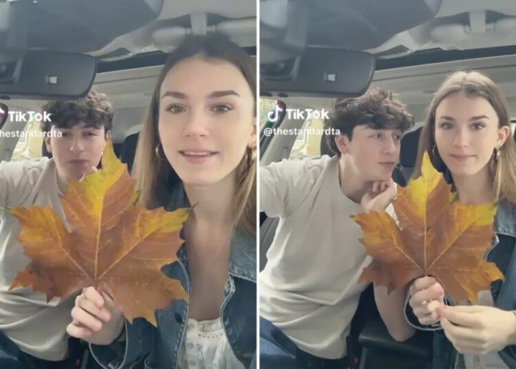 Playful relationship ‘leaf test’ goes awry, putting unsuspecting boyfriend in relationship crosshairs