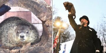 Groundhog Day 2026: Here’s when and where Punxsutawney Phil and Staten Island Chuck will make their predictions