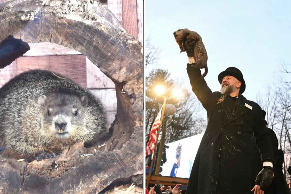 Groundhog Day 2026: Here’s when and where Punxsutawney Phil and Staten Island Chuck will make their predictions