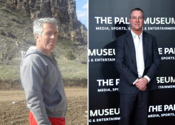 Paul Weiss law firm chair Brad Karp told Jeffrey Epstein ‘You’re amazing’