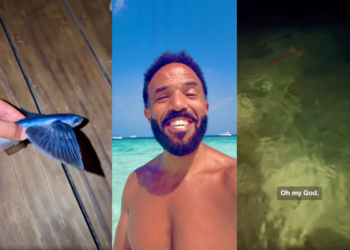‘Oh Dear’: The Existential Horror of Craig David’s Failed Fish Rescue
