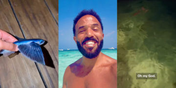 ‘Oh Dear’: The Existential Horror of Craig David’s Failed Fish Rescue