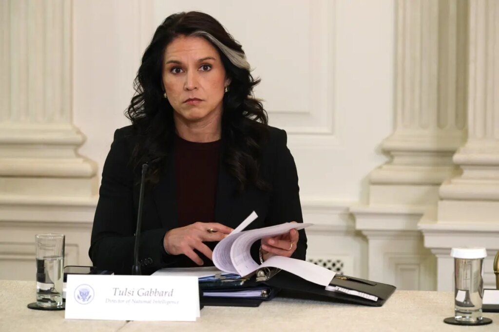 Tulsi Gabbard ends task force that aimed to reform intelligence gathering after less than a year