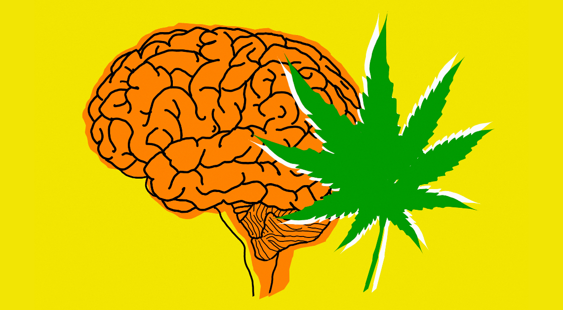 Does Cannabis Use Keep Your Brain Young?