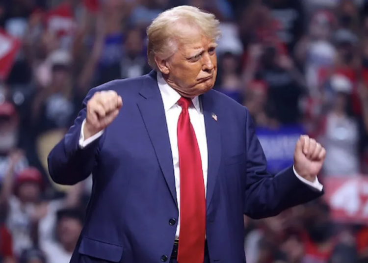 Trump ‘fears losing power’ and is now ‘more dangerous’ because of it: analysis