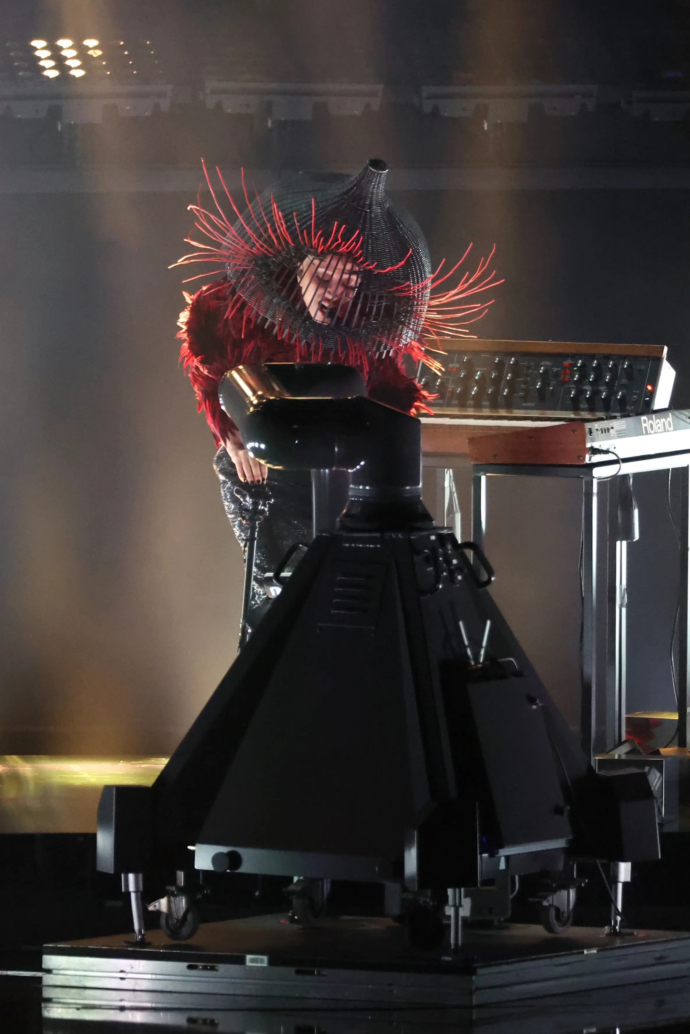 Lady Gaga at the Grammys.