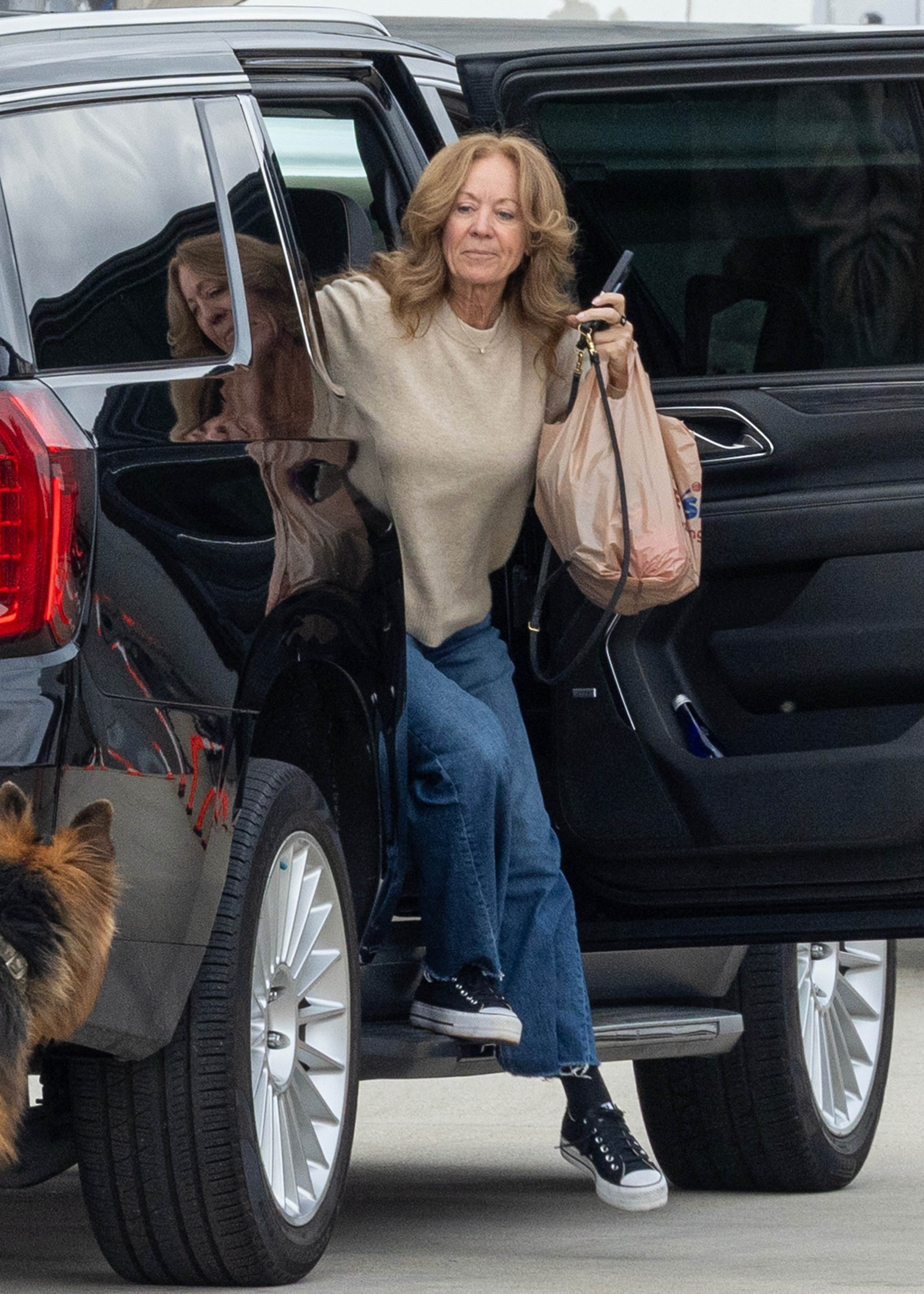 Lisa Mudd Sweeney exiting a private jet with her dog and a shopping bag.