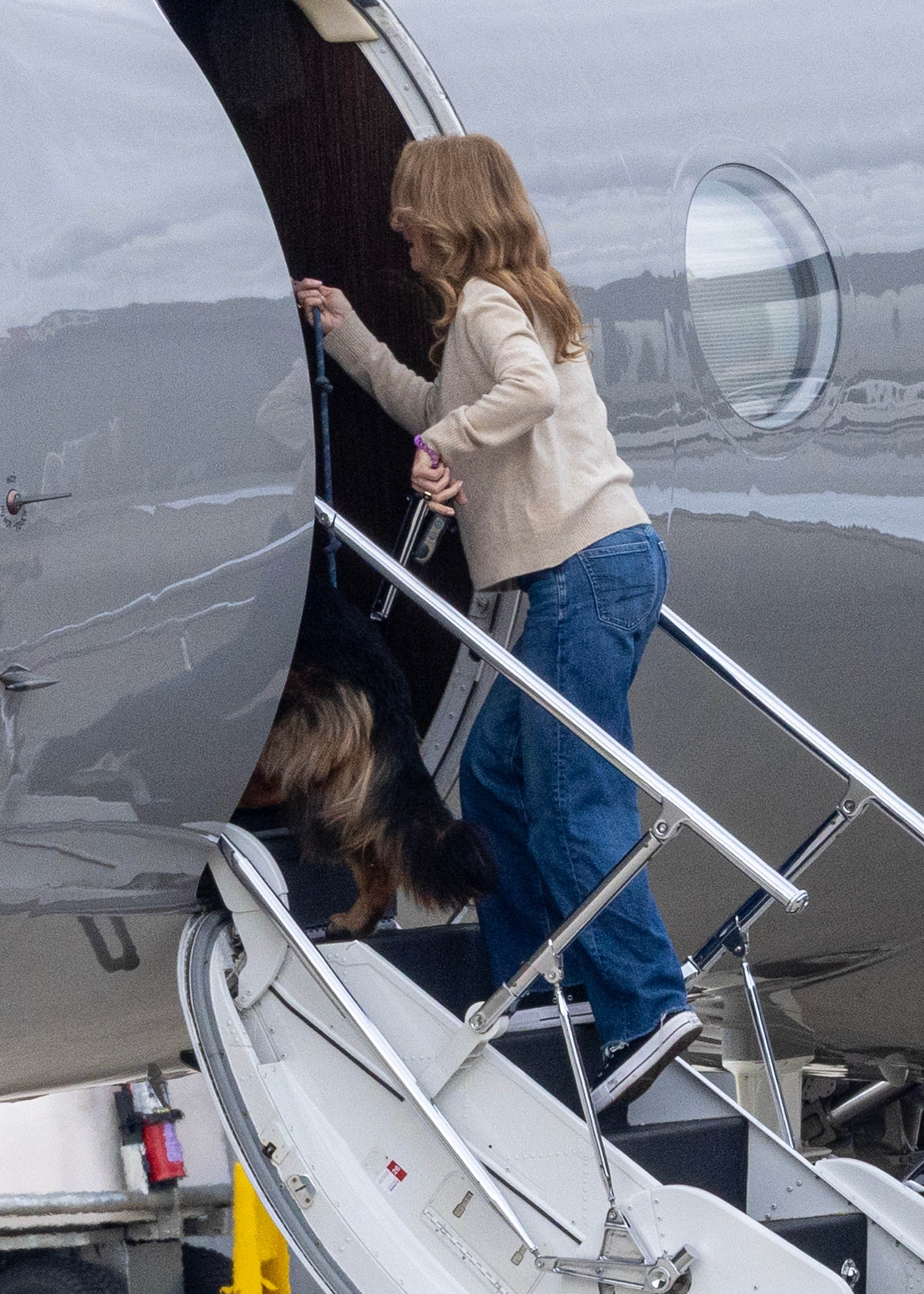 Lisa Sweeney climbing the steps of a private jet with her dog.