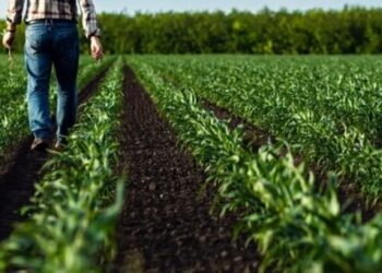 Farmers tell Congress ‘haphazard’ Trump has pushed them to brink of ‘widespread collapse’