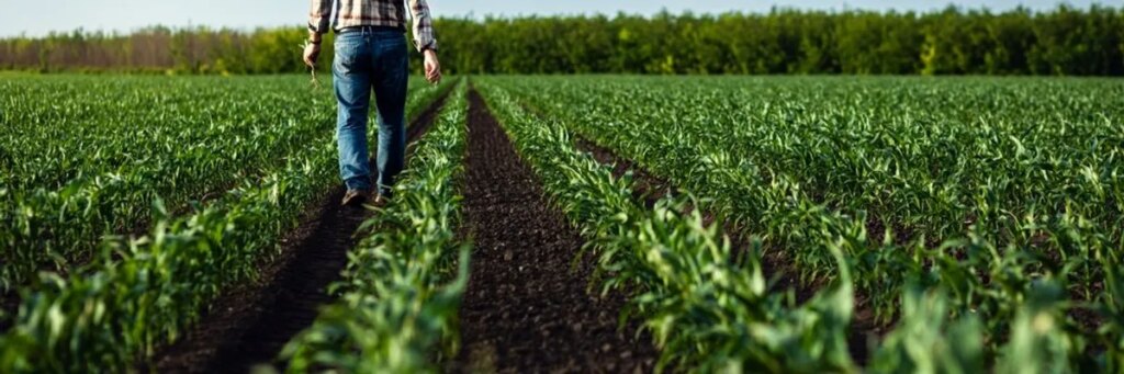 Farmers tell Congress ‘haphazard’ Trump has pushed them to brink of ‘widespread collapse’