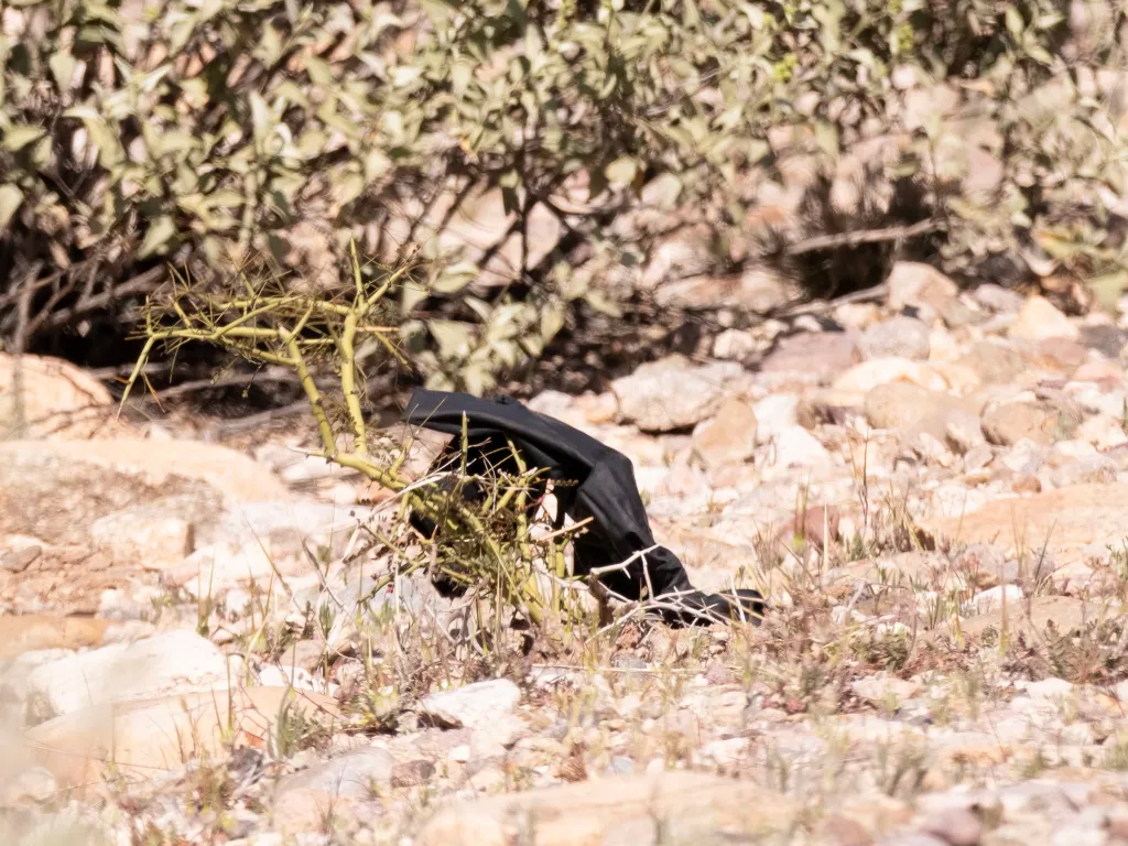 A black item, possibly a glove, rests among sparse desert vegetation and rocks.