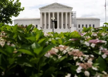 Devastating new numbers could doom Trump at the Supreme Court: analysis