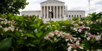 Devastating new numbers could doom Trump at the Supreme Court: analysis