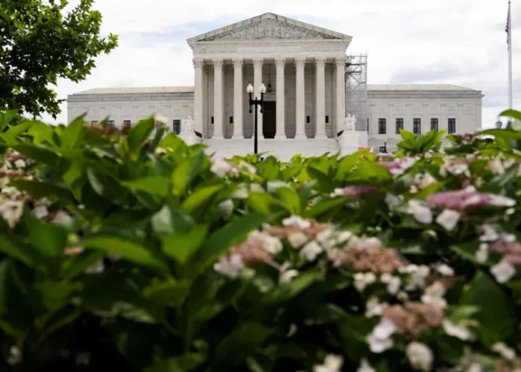 Devastating new numbers could doom Trump at the Supreme Court: analysis