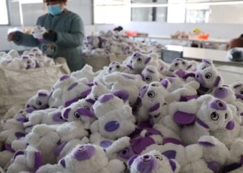 Meet the toymaker who helped take down Trump’s tariffs