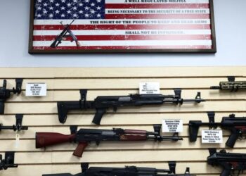 The pro-gun case liberals don’t want to hear