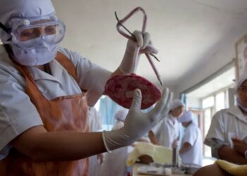 One of America’s best foreign aid programs is back from the dead