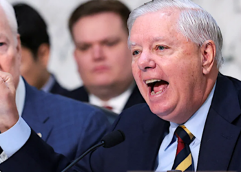 ‘Who owns Lindsey Graham?’ GOP senator’s obscene remarks on Greenland draw mockery