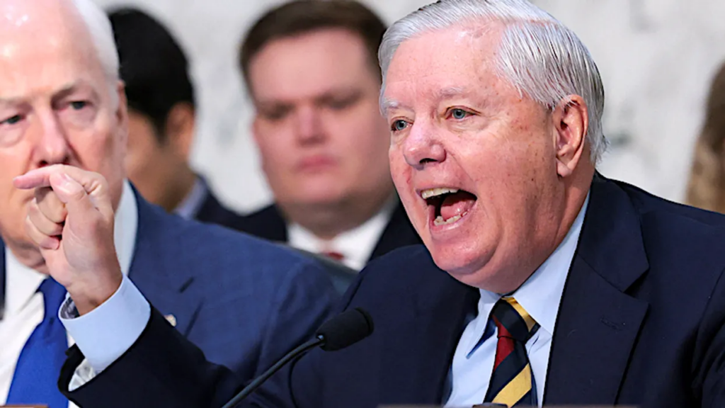 ‘Who owns Lindsey Graham?’ GOP senator’s obscene remarks on Greenland draw mockery