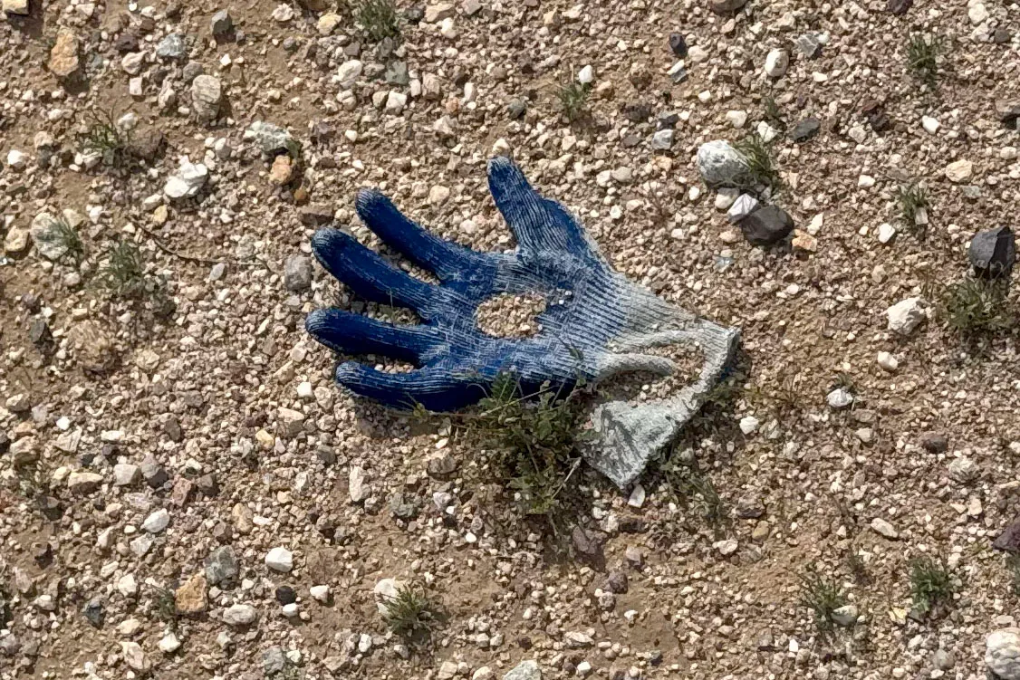 Gloves found near Nancy Guthrie's home.