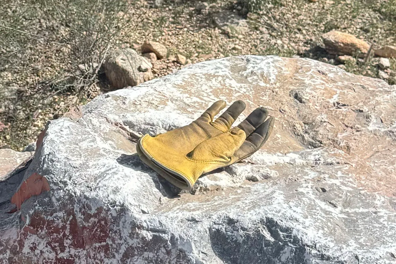 Gloves found near Nancy Guthrie's home.