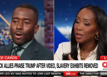 GOP strategist short-circuits after CNN host throws his words back in his face