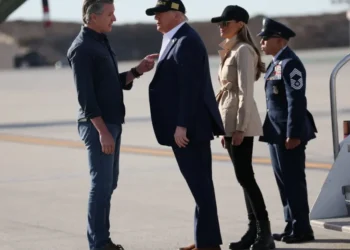 Newsom masterminding scheme to ‘bait’ Trump into bringing down his  empire: strategist