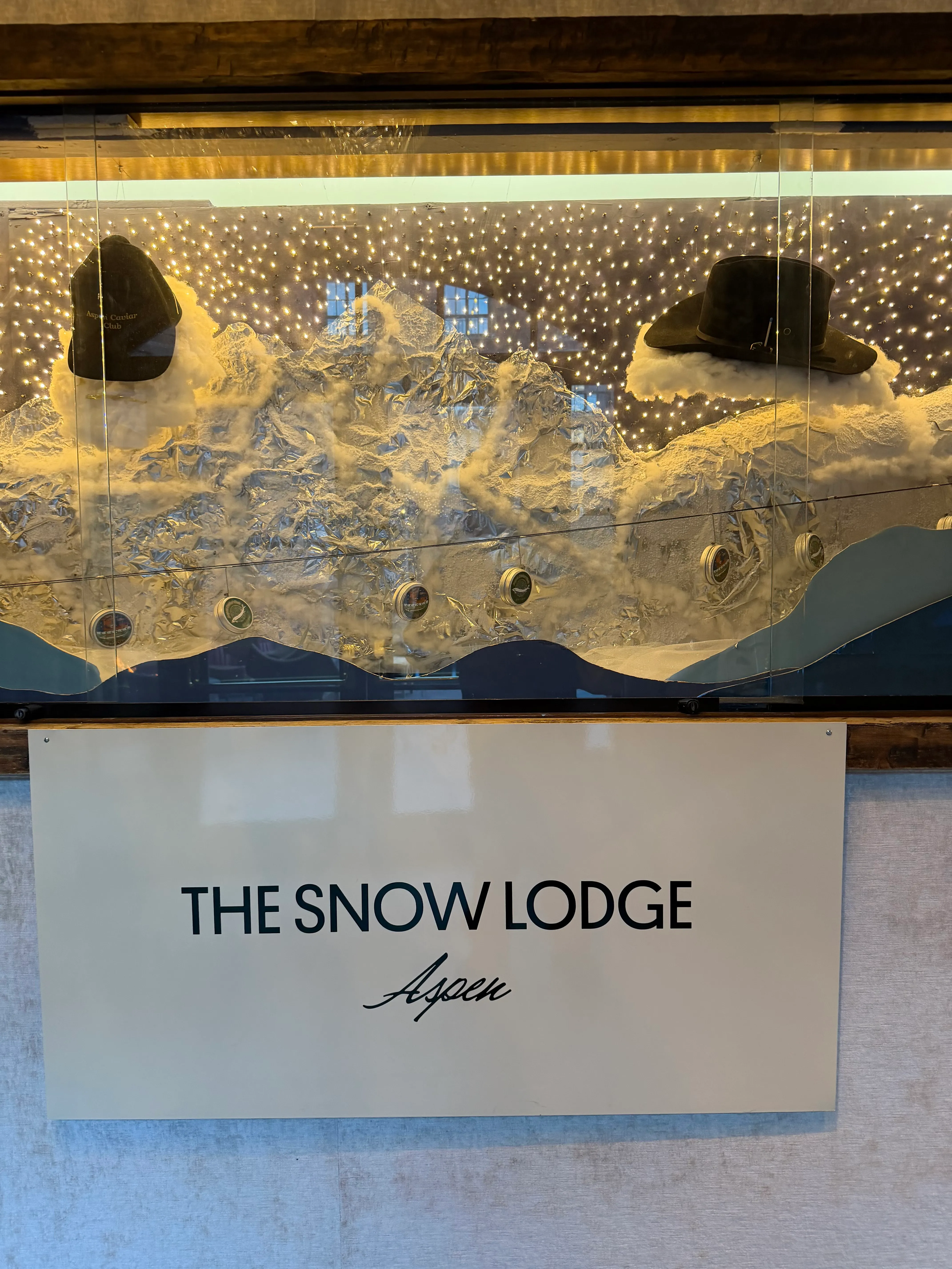 Snow Lodge 