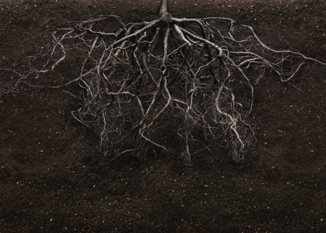 Life Hiding Deep Beneath Earth May Be Waiting Thousands of Years to Wake Up