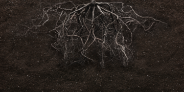 Life Hiding Deep Beneath Earth May Be Waiting Thousands of Years to Wake Up