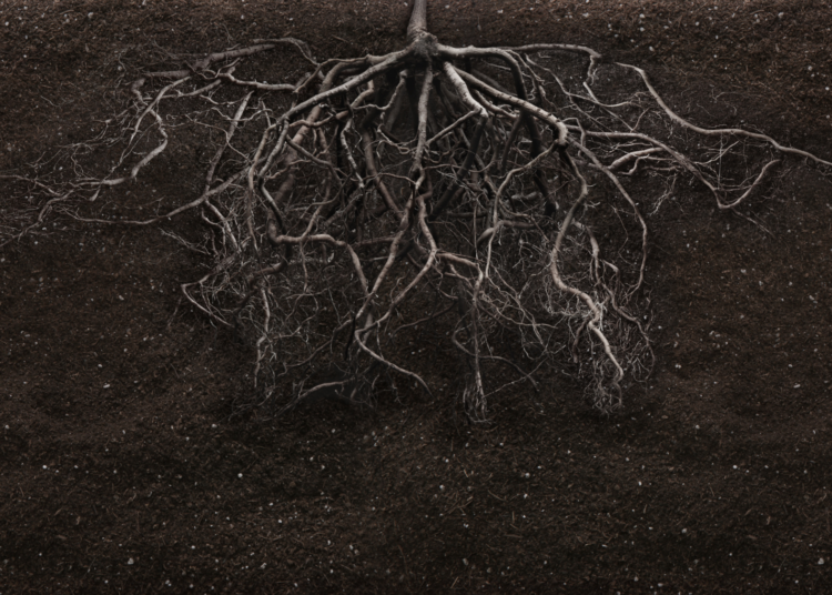 Life Hiding Deep Beneath Earth May Be Waiting Thousands of Years to Wake Up