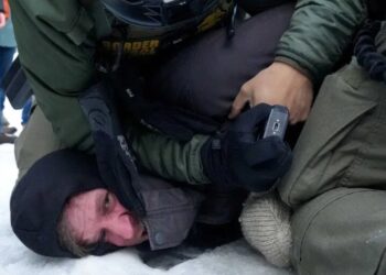 Loophole could let citizens hit ICE agents with barrage of lawsuits: expert