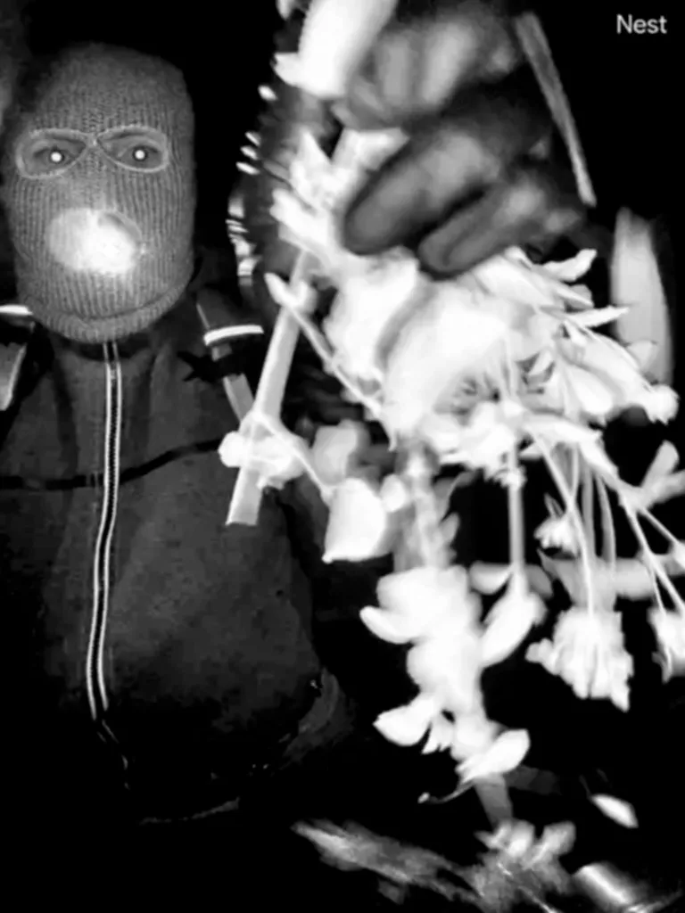 Infrared surveillance image of a person in a balaclava with glowing eyes, holding flowers.