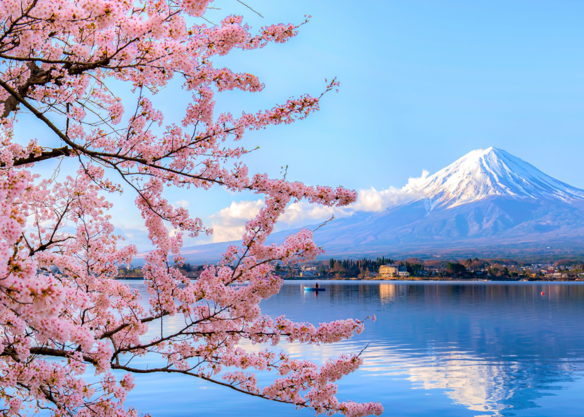 Japan’s Cherry Blossom Festival Canceled Because Tourists Suck