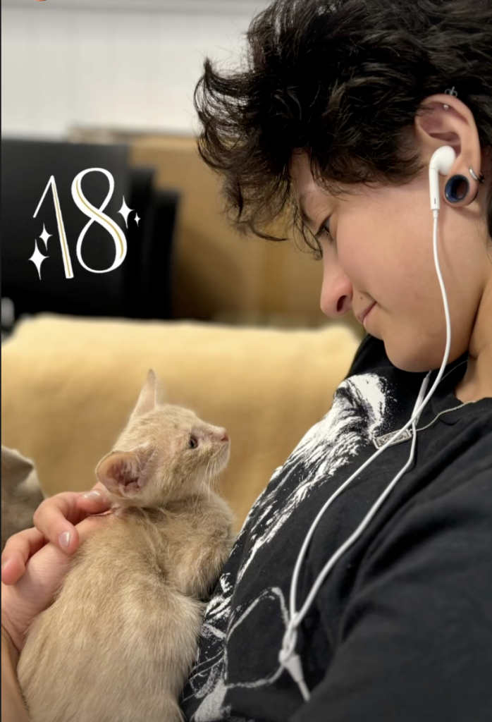 A person with earbuds in holding a light-colored kitten with a large 