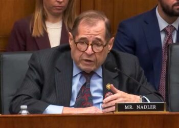 Americans are ‘justified in shooting’ ICE agents mistaken for ‘masked hoodlums’: Democrat