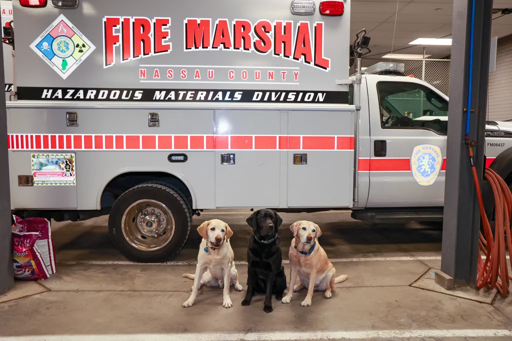 K-9 Pilot, ATF K-9 Chuck, and Retired ATF K-9 Leah of the Nassau County Fire Marshal K9 unit sit in front of a Fire Marshal hazardous materials vehicle.
