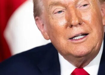 Expert flags ‘deeply untoward’ Trump connection buried in latest Epstein files release