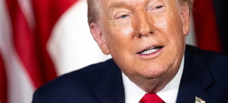 Expert flags ‘deeply untoward’ Trump connection buried in latest Epstein files release