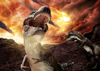 Life Recovered After the Dinosaur Extinction Way Faster Than We Thought