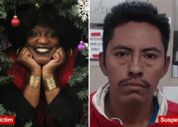 Illegal immigrant allegedly kills Georgia school teacher in car crash while fleeing ICE agents