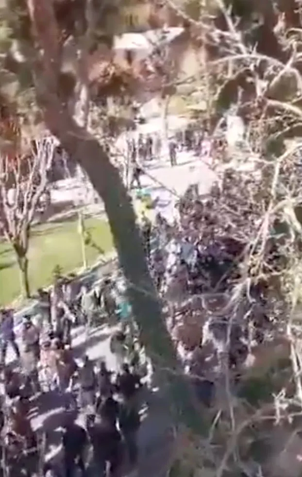 A crowd of people gathered outdoors, some carrying a banner, partially obscured by trees.